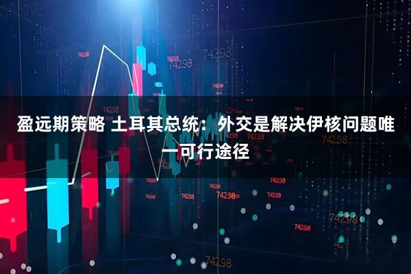盈远期策略 土耳其总统：外交是解决伊核问题唯一可行途径