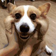 万生优配 公募医药基金经理观点速递