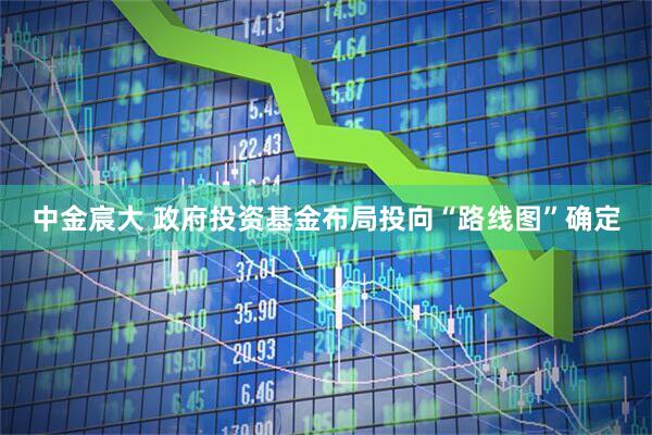 中金宸大 政府投资基金布局投向“路线图”确定