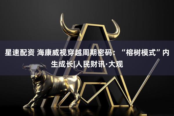星速配资 海康威视穿越周期密码：“榕树模式”内生成长|人民财讯·大观